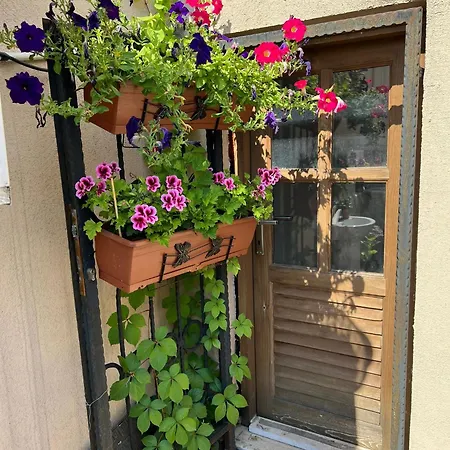 Ariya Yildiz 2 فندق